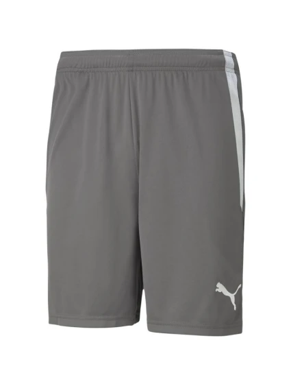 teamLIGA M model 21287999 13 šortky - Puma teamLIGA M model 21287999 13 šortky - Puma