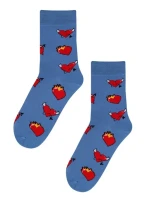 Vzorované pánské ponožky model 7508543 - Wola