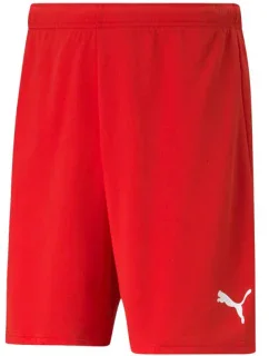 Pánské šortky teamRISE Short M model 16082251 01 - Puma