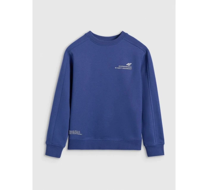 Chlapecká mikina bez kapuce model 21730479 - 4F Chlapecká mikina bez kapuce model 21730479 - 4F