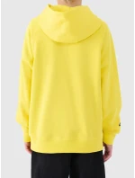 Chlapecká mikina 4F