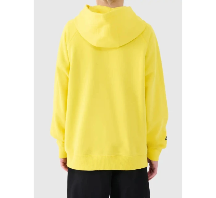 Chlapecká mikina 4F