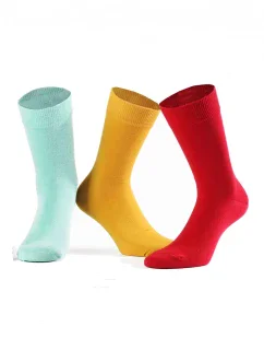 Pánské ponožky Perfect Man W model 5790107 - Wola