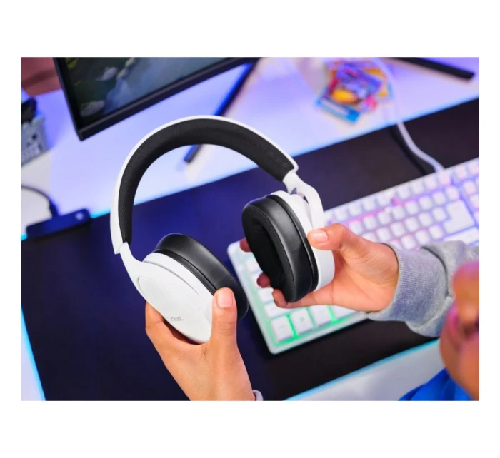 model 21331102 - Trust model 21331102 - Trust