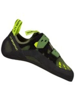 Tarantule olivová neonová