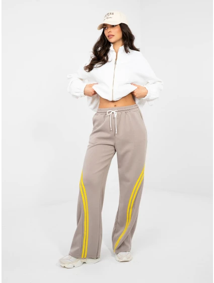 Spodnie dresowe IT DR model 22013669 ciemny bezowy - FPrice