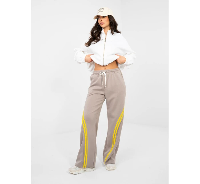 Spodnie dresowe IT DR model 22013669 ciemny bezowy - FPrice