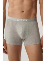 model 21418204 - Atlantic model 21418204 - Atlantic