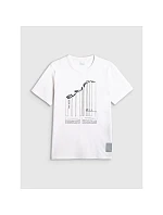 Pánské tričko s potiskem 4F 4FRAW25TTSHM3845-10S