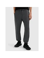 Pánské tepláky typu jogger model 22117471 - 4F