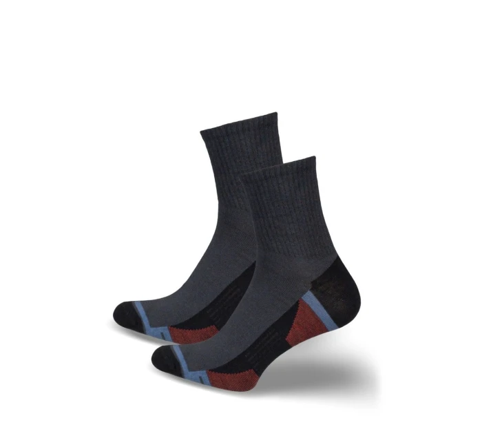 Pánské ponožky ACTIVE 0224.047