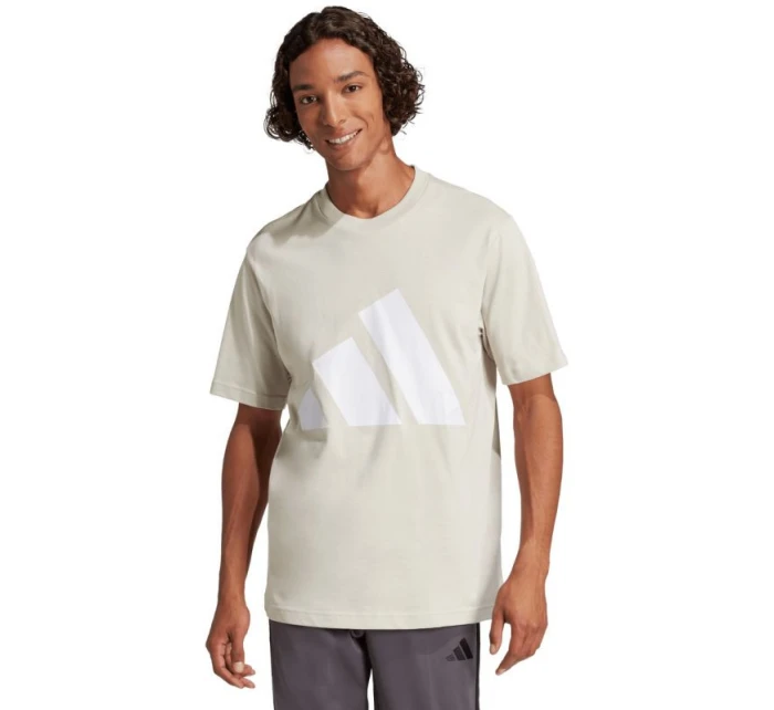 Tričko adidas Essentials Big Logo M JE8933 pánské Tričko adidas Essentials Big Logo M JE8933 pánské