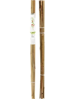 BAMBUSOVÁ TYČ NA PODPORU ROSTLIN 116 CM 10KS PROGARDEN