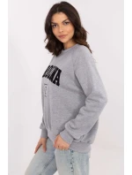 Mikina  model 206348 Factory Price