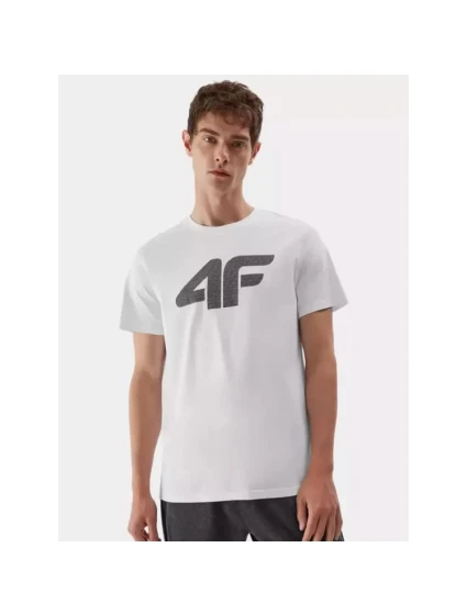 Tričko M model 21425007 pánské - 4F Tričko M model 21425007 pánské - 4F