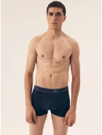 Pánské boxerky A'2 M3XL model 20878820 - Henderson Pánské boxerky A'2 M3XL model 20878820 - Henderson