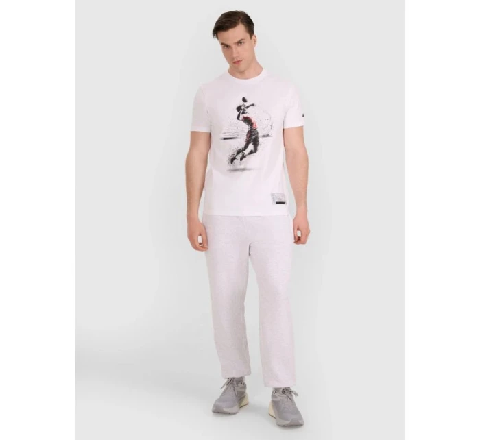 Pánské volejbalové tričko s potiskem model 21756928 - 4F Pánské volejbalové tričko s potiskem model 21756928 - 4F