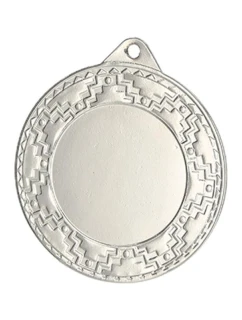 Medal srebrny ogólny z miejscem na model 21830079