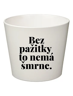 BEZ PAŽITKY TO NEMÁ ŠMRNC. - malý květináč 