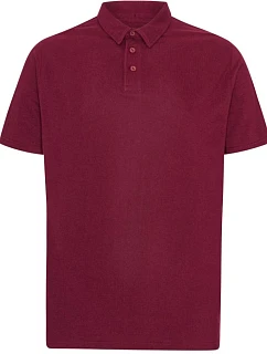 T Piqué polo z těžké bavlny "Tiger" bordeaux model 22452039 - Neutral
