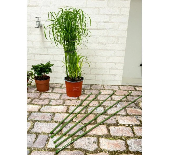 DO model 21832010 - Kinzo