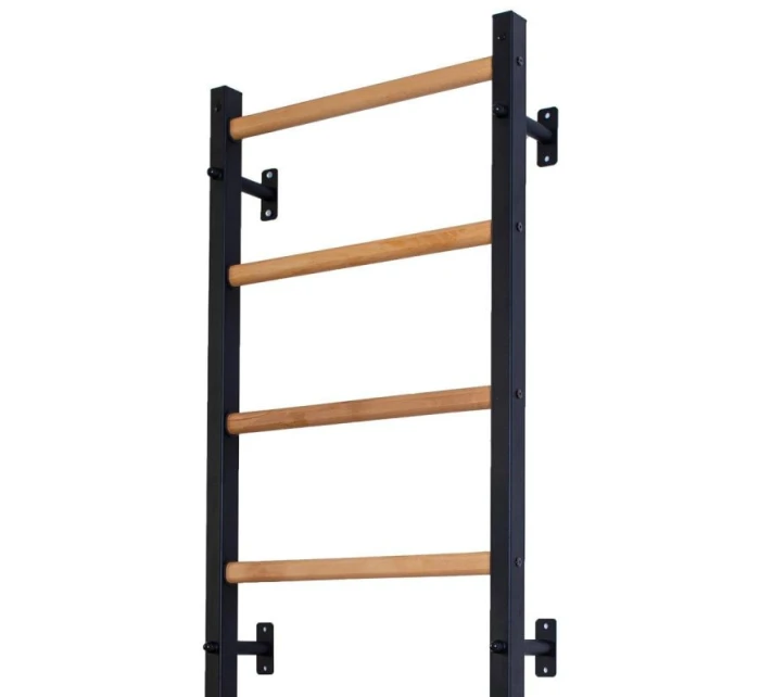 GYMNASTICKÝ ŽEBŘÍK S NASTAVITELNOU TYČÍ A ZÁBRADLÍM BENCHK 732B