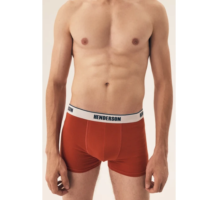 PÁNSKÉ BOXERKY 2 PAK SS25 model 20944296 - Henderson
