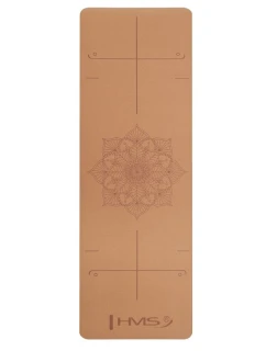 NA  model 21810790 - HMS