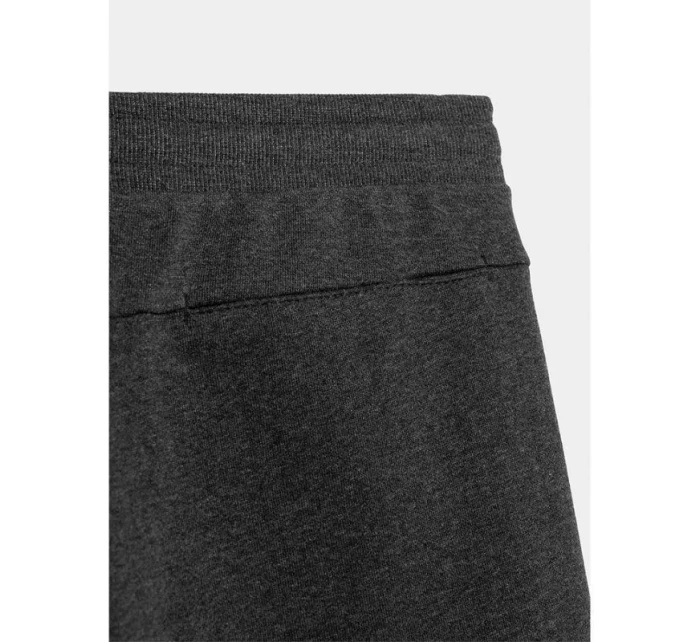 Pánské šortky M 4FSS23TSHOM156 23M - 4F