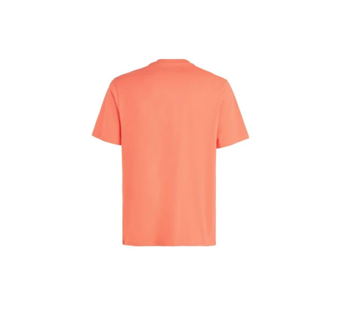 Tričko O'Neill Cali Original M 92800613165