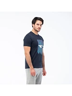 Pánské tričko s krátkým rukávem model 22062949 Pánské tričko s krátkým rukávem model 22062949