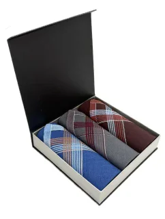 EGA CH-630 Pánský kapesník A'3