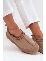 Dámské sněhule na platformě s nízkým svrškem Izamine – tmavě béžové Dámské sněhule na platformě s nízkým svrškem Izamine – tmavě béžové