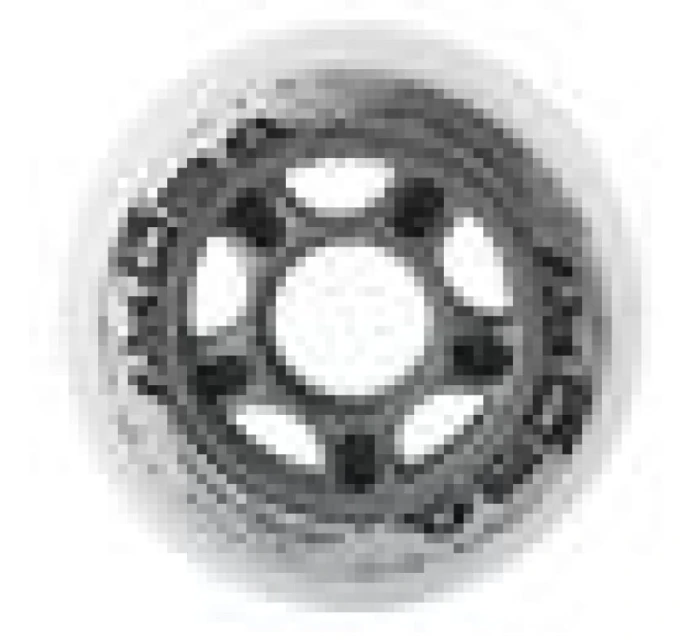 PU BÍLÁ ks) model 21330089 - Nils Extreme PU BÍLÁ ks) model 21330089 - Nils Extreme