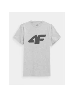 Pánské tričko s potiskem model 21432288 pánské - 4F Pánské tričko s potiskem model 21432288 pánské - 4F