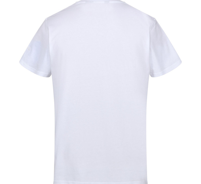 Pánské tričko Cline VII RMT263-HUJ bílé - Regatta