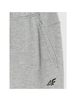 Pánské joggerové tepláky 4F 4FRMM00TTROM1625-27M