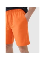 Pánské rychleschnoucí tréninkové šortky model 21434227 - 4F Pánské rychleschnoucí tréninkové šortky model 21434227 - 4F