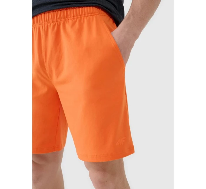 Pánské rychleschnoucí tréninkové šortky model 21434227 - 4F Pánské rychleschnoucí tréninkové šortky model 21434227 - 4F