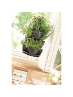 VERYKAL GARDEN CASCADE POND pro bylinky - GRAPHITE