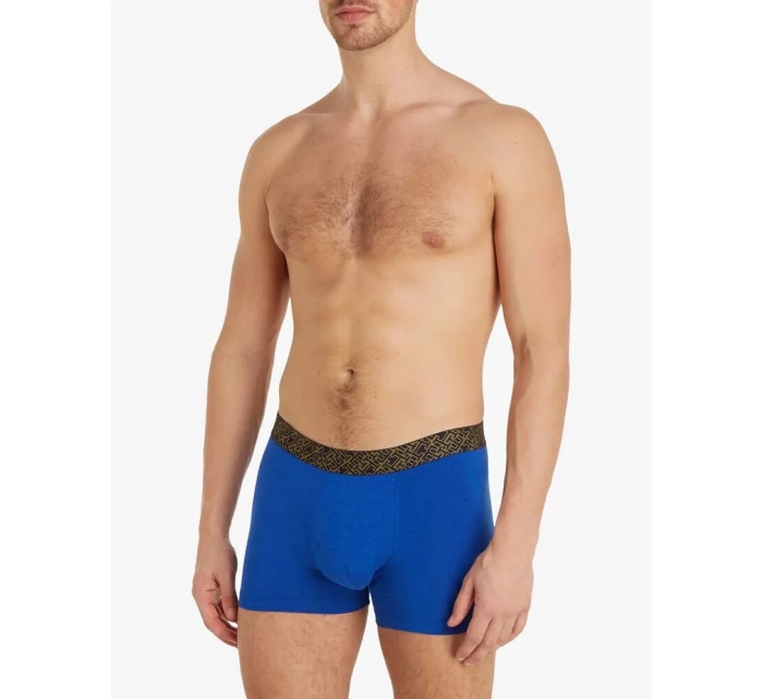 Pánské boxerky 3PACK   model 18990998 - Tommy Hilfiger