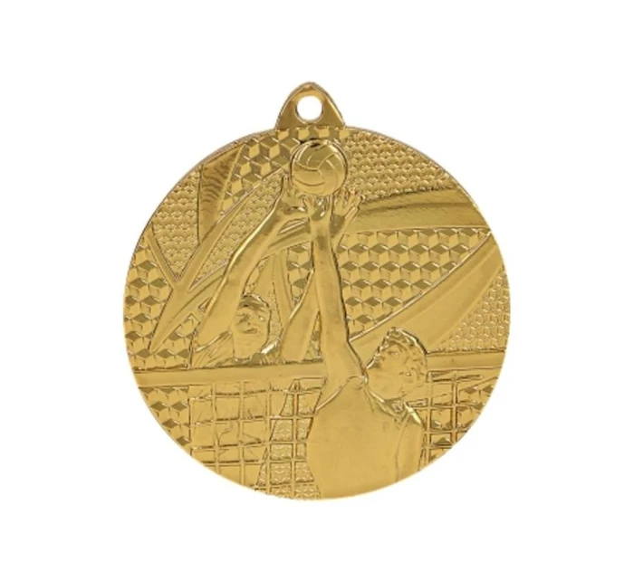 zlatá medaile - volejbal