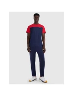Pánské tričko s potiskem 4F 4FRAW25TTSHM3292-31S