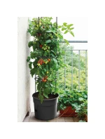 KVĚTINÁČ NA SÁZENÍ RAJČAT S ŽEBŘÍKEM O OBJEMU 12 L KVĚTINÁČ NA SÁZENÍ RAJČAT S ŽEBŘÍKEM O OBJEMU 12 L