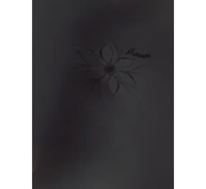 Dámské kalhotky Emili Flower Dámské kalhotky Emili Flower