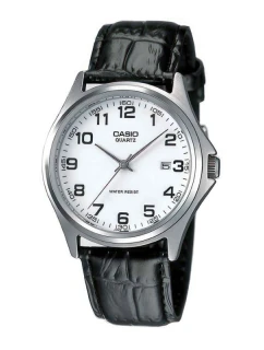 Pánské hodinky model 21805333 + krabice - CASIO