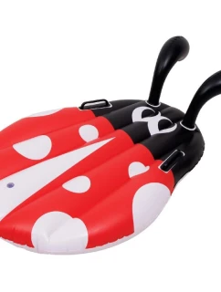 95x90 cm plavecká deska DREAMBOARD 35473