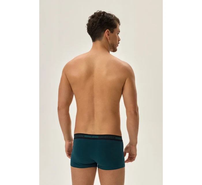 BOKSERKI MĘSKIE 2PAK AW24 model 21250956 - Henderson BOKSERKI MĘSKIE 2PAK AW24 model 21250956 - Henderson