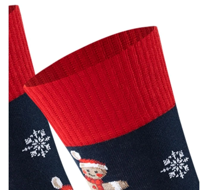 Pánské ponožky 136 model 21878359 - Steven