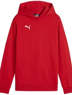 Mikina Team Goal Casuals Jr 01 model 19654402 - Puma